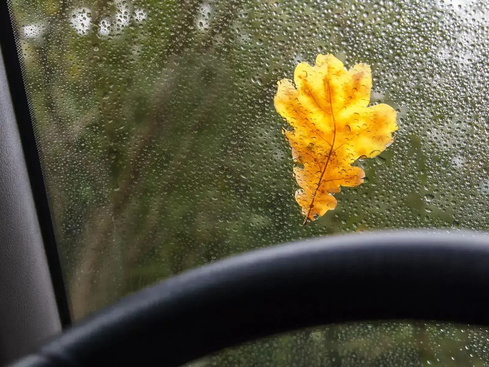 voorruit vervangen bij glasbreuk